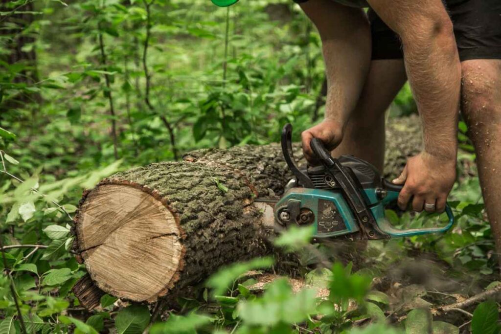 man-with-chainsaw-cuts-tree